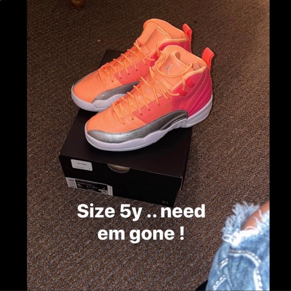 Air Jordan retro 12